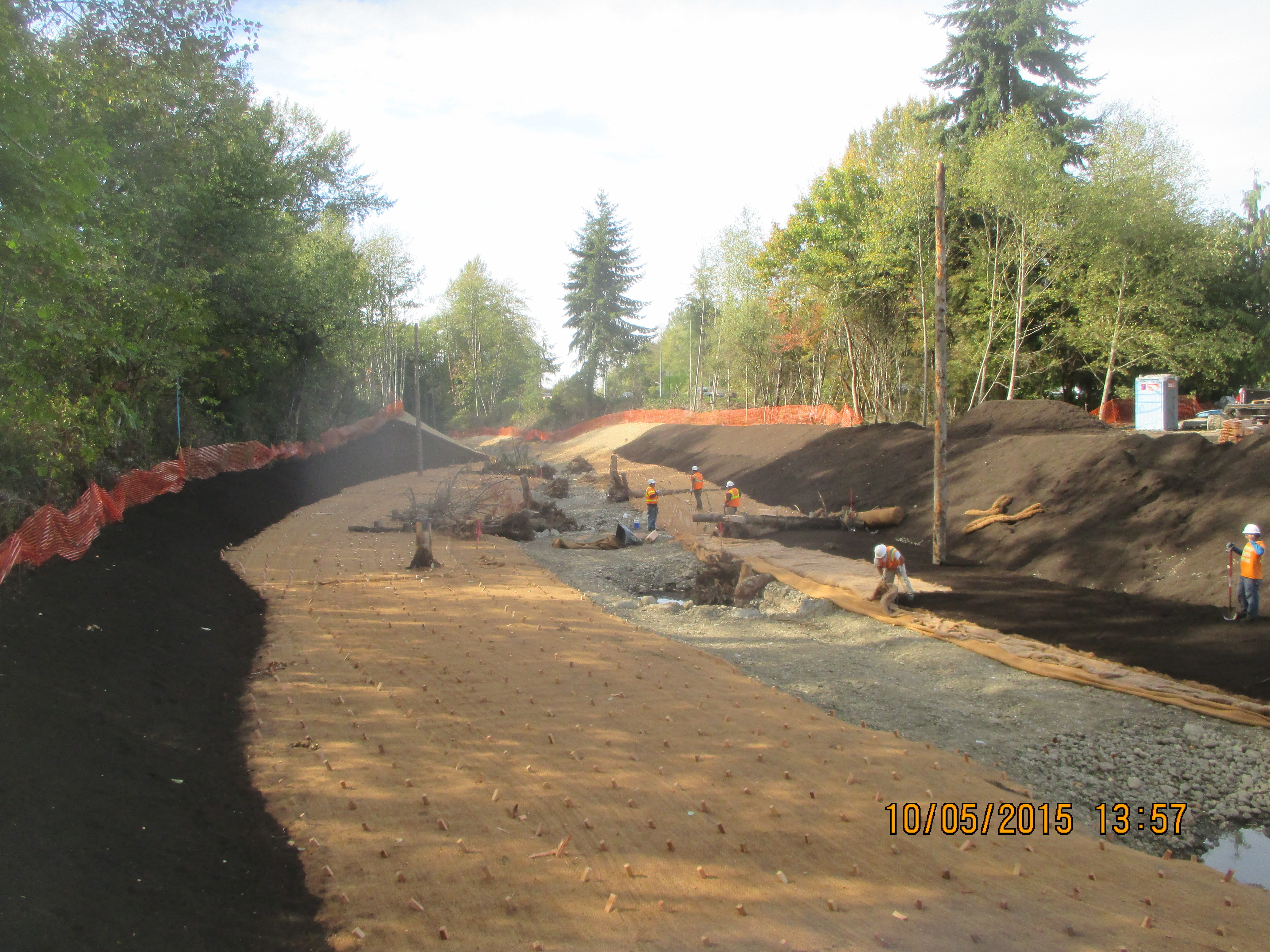 Padden Creek Daylighting