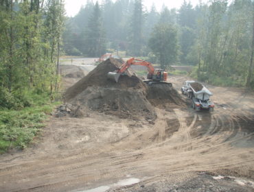 Deming Levee Upstream Improvement Project